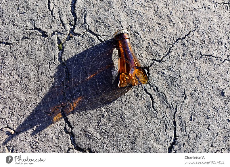 I got such a neck! | broken neck of a bottle Beer Neck of a bottle Packaging Concrete Glass Shard Glittering Illuminate Lie Broken Brown Gray Vice Esthetic