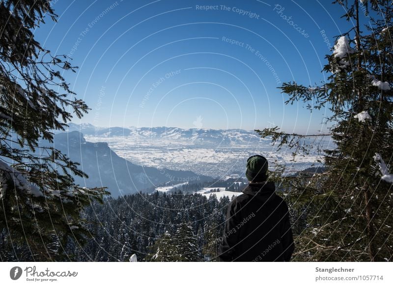 The View Human being 1 Environment Nature Landscape Cloudless sky Winter Beautiful weather Snow Tree Forest Alps Mountain Peak Snowcapped peak Esthetic