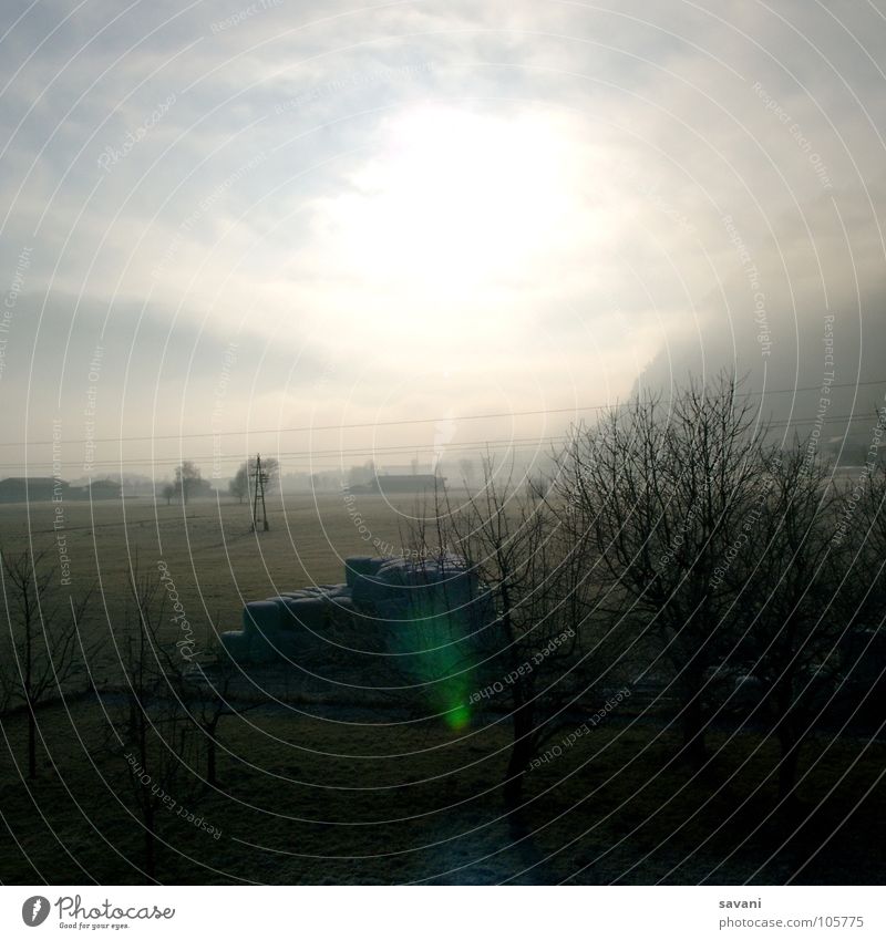 Light and backlight! Calm Sun Winter Nature Landscape Sky Clouds Beautiful weather Fog Tree Field Cold Loneliness Austria Morning fog Electricity pylon Valley