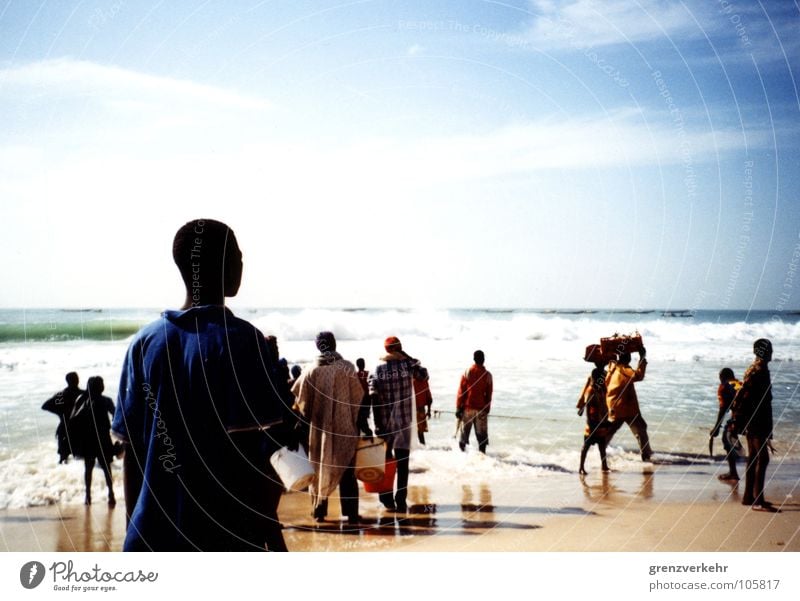 Atlantic Kingfisher Shadow Silhouette Beach Ocean Work and employment Coast Carrying Fisherman Atlantic Ocean Africa West Africa Mauretania Nouakchott Fishery