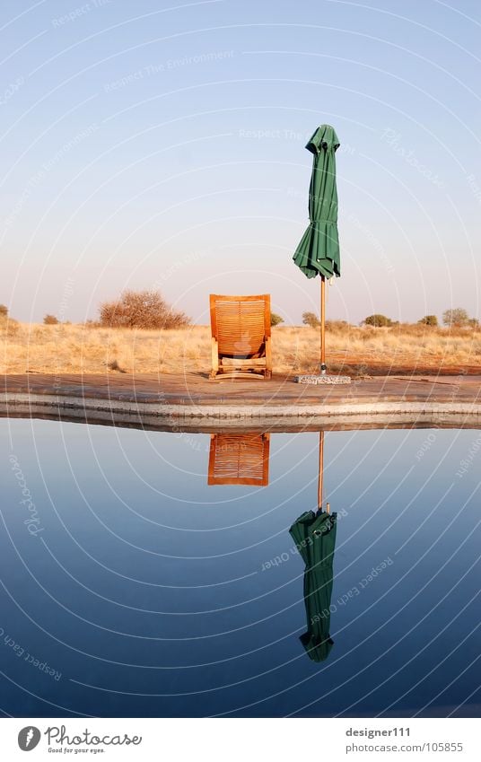 Namibian mirror Africa Relaxation Infinity Couch Deckchair Morning Think Swimming pool Calm Sunshade Mirror Reflection Dream Water Emotions Looking Dawn ponder