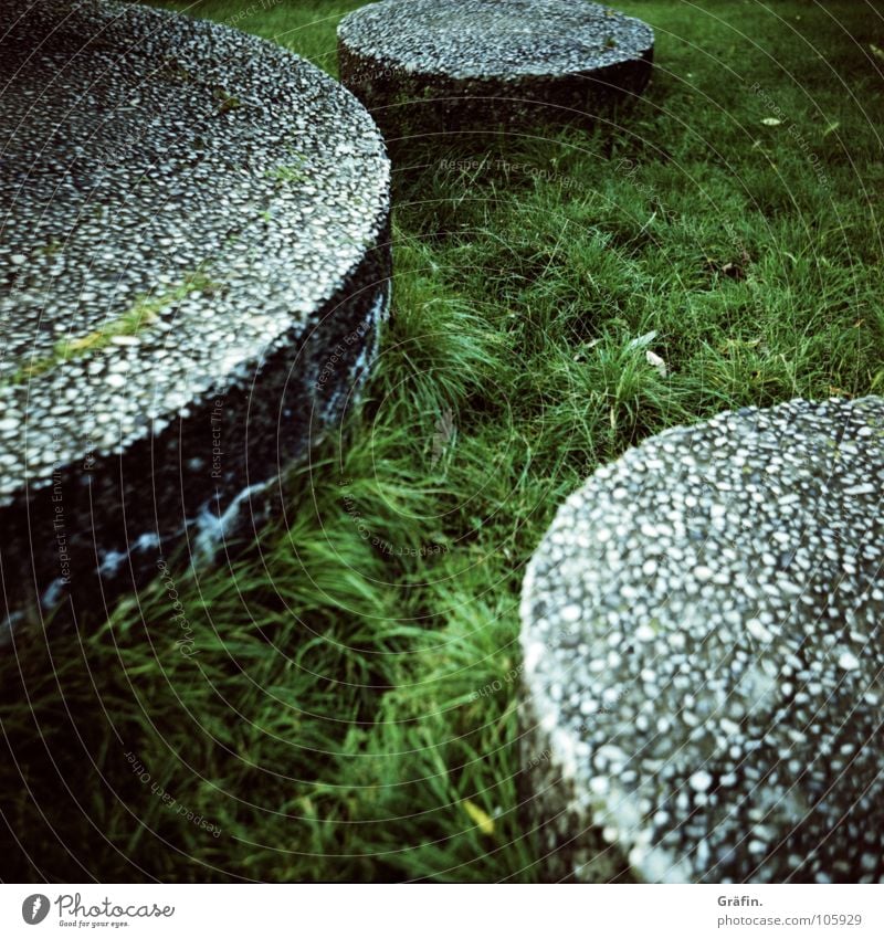 jump into the field Stone slab Circle Concrete Art Grass Meadow Alster Cross processing Medium format Green Gray 3 Lomography Garden Park Lawn cross lubitel 6x6