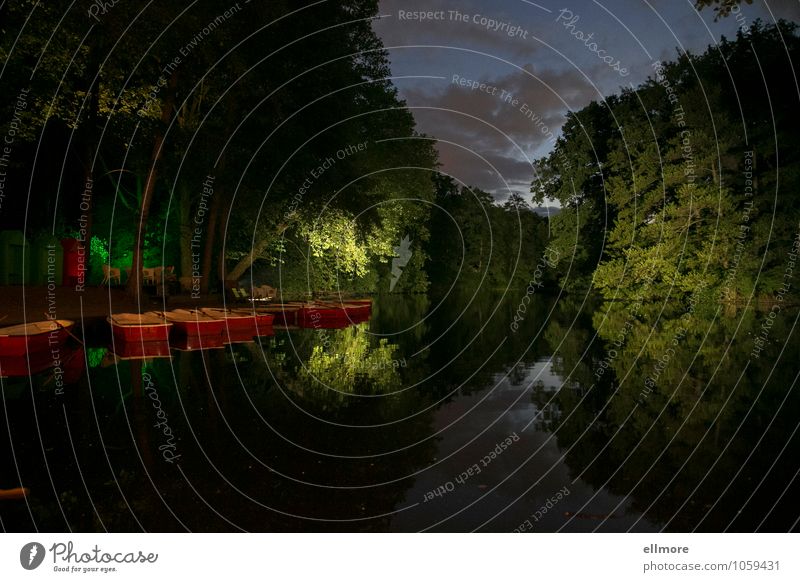 At the lake Rowing Nature Water Summer Beautiful weather Tree Lakeside Relaxation Dream Blue Gray Green Red Romance Serene Calm Contentment Loneliness Idyll