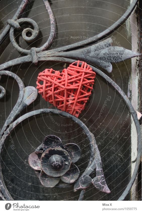 iron heart Flirt Valentine's Day Flower Door Metal Heart Emotions Moody Love Infatuation Romance Lovesickness Wrought iron Fence Tendril Gate Wrought ironwork