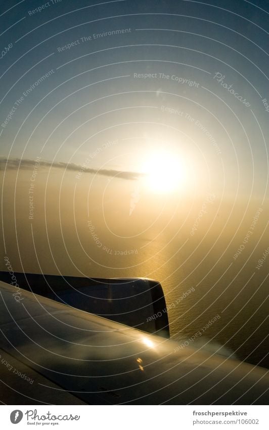 goodbye blue sky Airplane Engines Sunset Vacation & Travel Flying Aviation Sky Sunlight Back-light Flashy Luminosity View from the airplane Wing Copy Space top