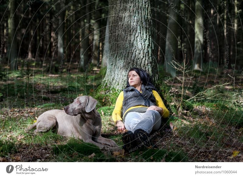 Is that what? Lifestyle Wellness Senses Relaxation Calm Hiking Human being Feminine Woman Adults Nature Summer Beautiful weather Tree Forest Black-haired