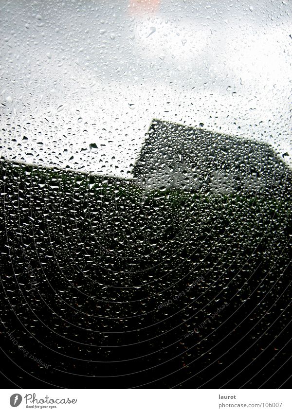 drop landscape House (Residential Structure) Grass Window Window pane Gray Wet Dark Eerie Concealed Afternoon Bergisch Gladbach Clouds Upward Water Sky Rain