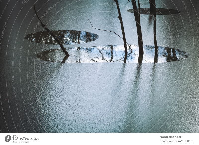 Winter in the Moor Nature Landscape Water Climate Weather Ice Frost Plant Tree Bog Marsh Lake Dark Firm Fluid Cold Blue Calm Bizarre Stagnating