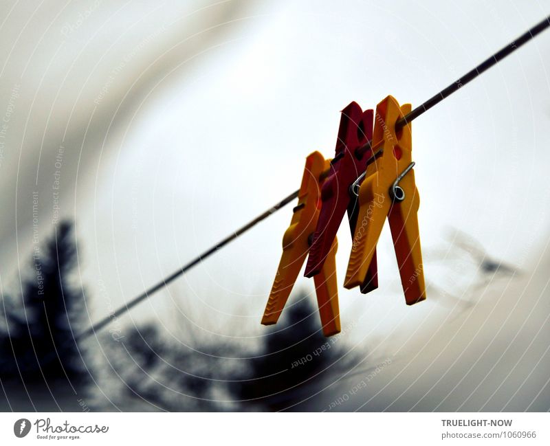 Unemployed... Relaxation Calm Garden Nature Air Sky Winter Weather Clothesline Clothes peg Wait Clean Gloomy Dry Yellow Gray Red Black Turquoise Anticipation