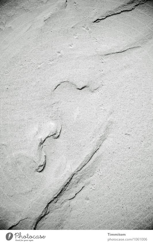 Sandspiel. Environment Nature Elements Summer Dune Denmark Animal tracks Esthetic Simple Natural Gray Black Emotions Line Shadow Black & white photo Sanddrift