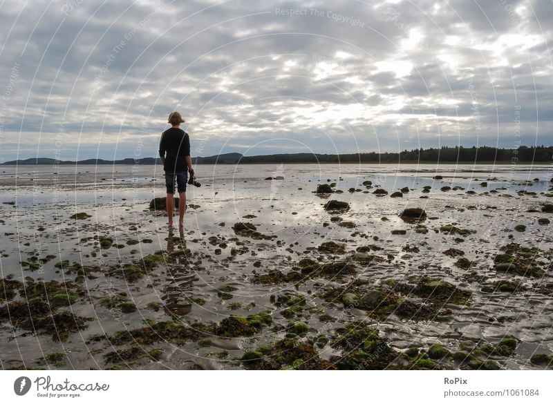 Ebb tide. Vacation & Travel Far-off places Freedom Summer Summer vacation Beach Ocean Hiking watt Mud flats Low tide Tide Horizon Masculine Environment Nature