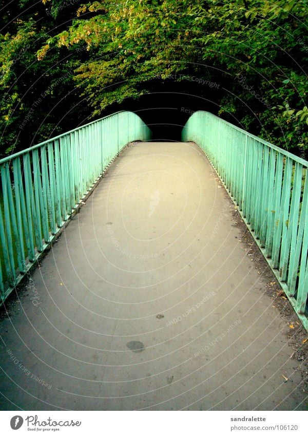 Walk this Way Park Forest Tree Green Loneliness Black Holes Retro Sunday Afternoon Above Bridge Summer Garden Handrail pile-lander Lanes & trails