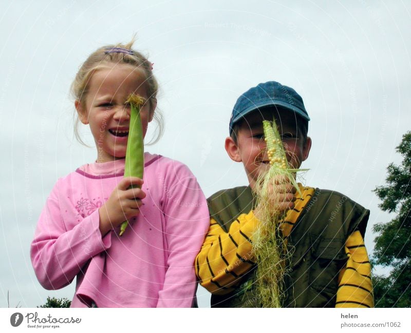 corn thieves Child Country life Human being Maize