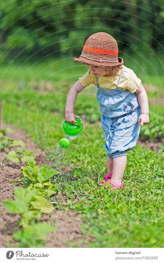 Toddler pours vegetable bed Summer Child 1 Human being Plant Agricultural crop Garden Make Beautiful Green Diligent Garden Bed (Horticulture) Cast Gardening