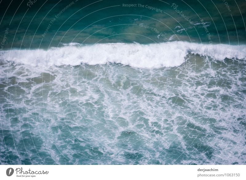 Wild water, view from the National Park in Burleigh Heads to the Pacific Ocean with strong surf Joy Relaxation Summer Nature Water Beautiful weather Queensland