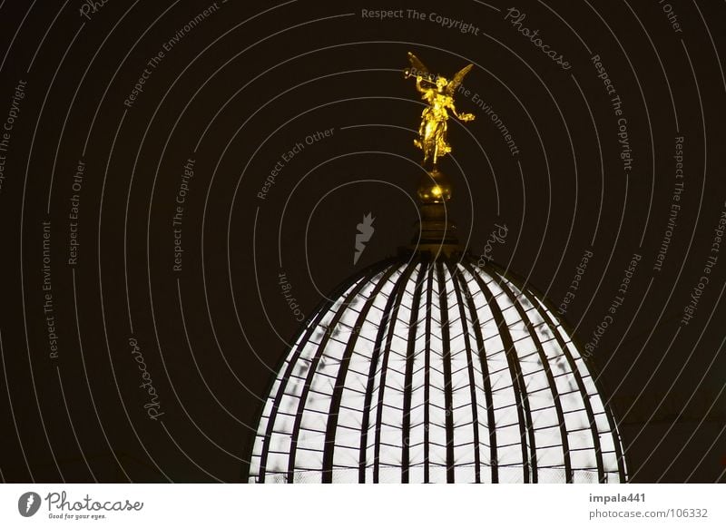 lemon squeezer Light Night Black White Domed roof Long exposure Trumpet Detail Historic Dresden Angel Gold interior light Lamp Old town Scaffold Illuminate