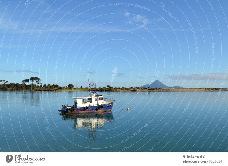 Boat trip New Zealand Contentment Calm Vacation & Travel Trip Adventure Far-off places Freedom Island Waves Environment Nature Landscape Air Water Clouds Tree