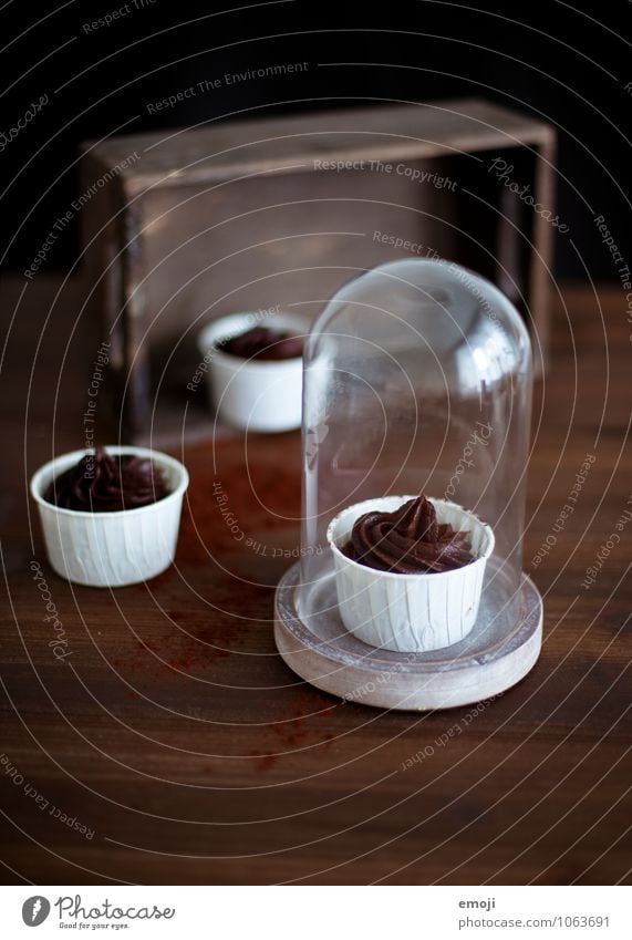 chocolate shock Dessert Candy Chocolate Mousse Mousse au chocolat Nutrition Delicious Sweet Brown Rich in calories Colour photo Interior shot Deserted