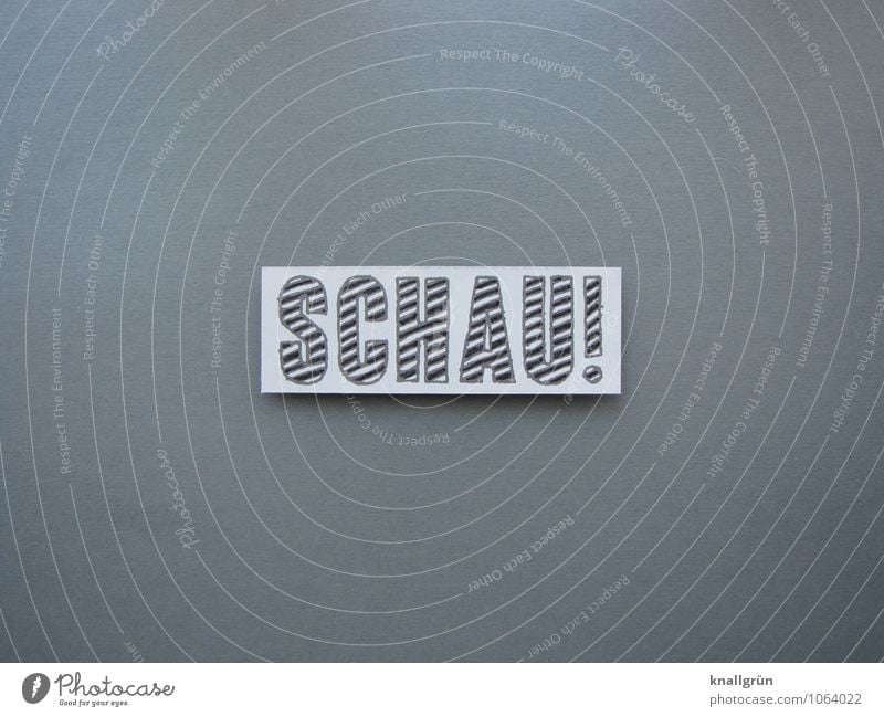 LOOK! Characters Signs and labeling Communicate Looking Sharp-edged Gray Black White Emotions Joy Happiness Enthusiasm Discover Expectation Curiosity Surprise