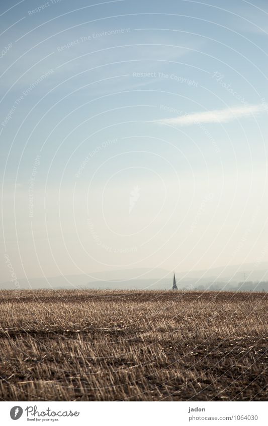 I'll say goodbye to you. Agriculture Forestry Environment Nature Landscape Earth Sunlight Spring Beautiful weather Agricultural crop Field Church Tower Building