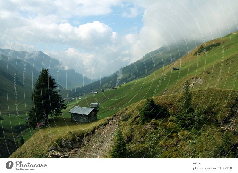 stopped Alpine hut Fir tree Canton Graubünden Switzerland Home country Dangerous Mountaineering Air Mountain meadow Summer Slope Erosion Vantage point Cottage