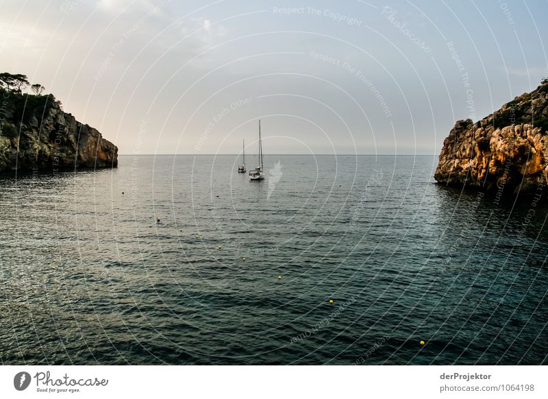 Mallorca from its beautiful side 66 - sailboat off the coast Vacation & Travel Tourism Trip Freedom Summer vacation Environment Nature Landscape Plant Animal