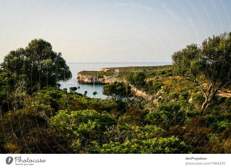 Mallorca from its most beautiful side 43 - View of the bay Vacation & Travel Tourism Far-off places Freedom Summer vacation Environment Nature Landscape Plant