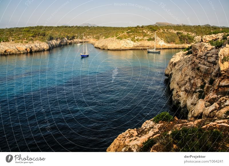 Mallorca from its beautiful side 62 - Sailing bay Vacation & Travel Tourism Trip Far-off places Freedom Environment Nature Landscape Plant Animal Summer