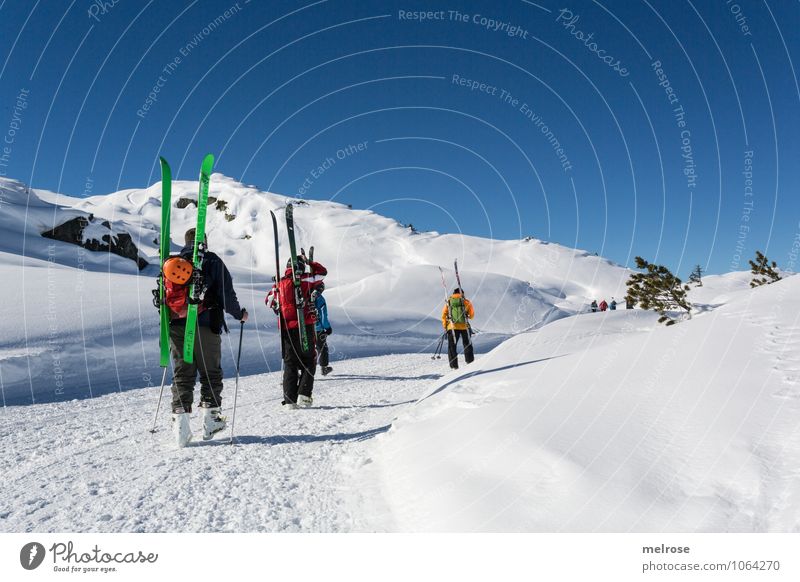 touring weather Winter vacation Human being Man Adults Group 30 - 45 years Landscape Cloudless sky Beautiful weather Snow Hill Rock Mountain sunhead