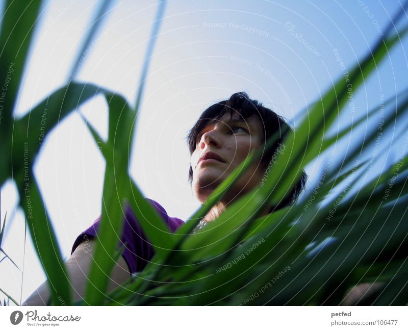 longing Wanderlust Longing Violet Grass Green Emotions Woman Human being Looking Wait Nature Sky Blue Shadow below Life Head