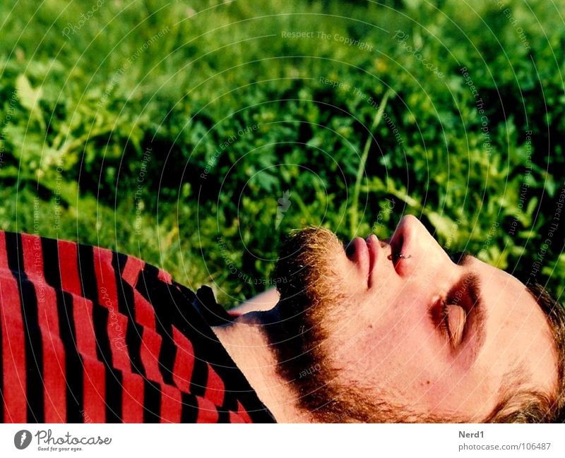 No beetle Meadow Green Man Red Sleep Stripe Facial hair Macro (Extreme close-up) Close-up Lie Nose Head Portrait photograph Face of a man Goatee Relaxation