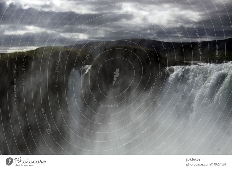 forces of nature Environment Nature Landscape Animal Elements Water Fog Cold Iceland Waterfall Wall of fog Crowd of people Exterior shot