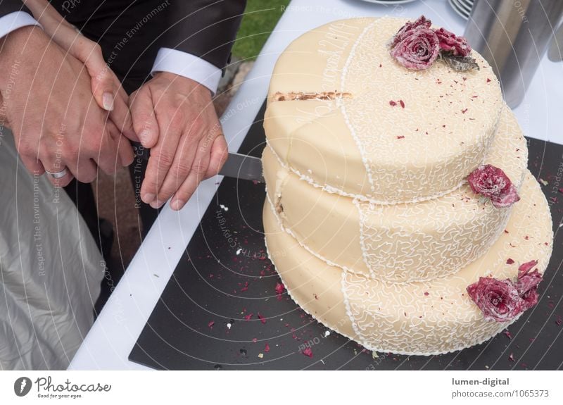 wedding cake Cake Wedding Hand 2 Human being Together Eternity Hope Life Love Future Married couple marriage Gateau Matrimony Baked goods Knives Couple cut