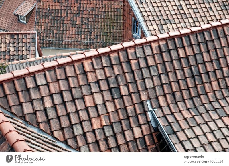 A toast to the roofer House (Residential Structure) quedlinburg Small Town Downtown Deserted Roof Tourist Attraction Red Experience Protection Safety Tradition