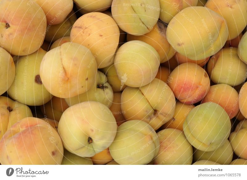 apricots Agricultural crop Exotic Fruit Apricot Esthetic Fragrance Authentic Fresh Above Round Sweet Colour photo Multicoloured Exterior shot Close-up Detail