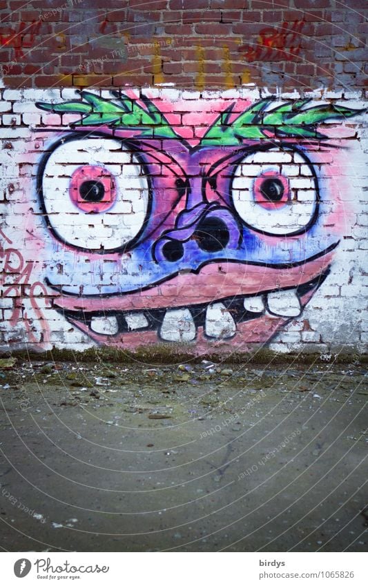 weird bird Art Youth culture Graffiti Wall (barrier) Wall (building) Brick wall Exceptional Exotic Creepy Funny Crazy Bizarre Colour Culture Revolt Town Eyes