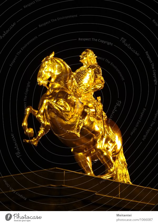 Golden Rider Tourism Sculpture Dresden Saxony Europe Town Capital city Downtown Equestrian statue Tourist Attraction Landmark Monument Black