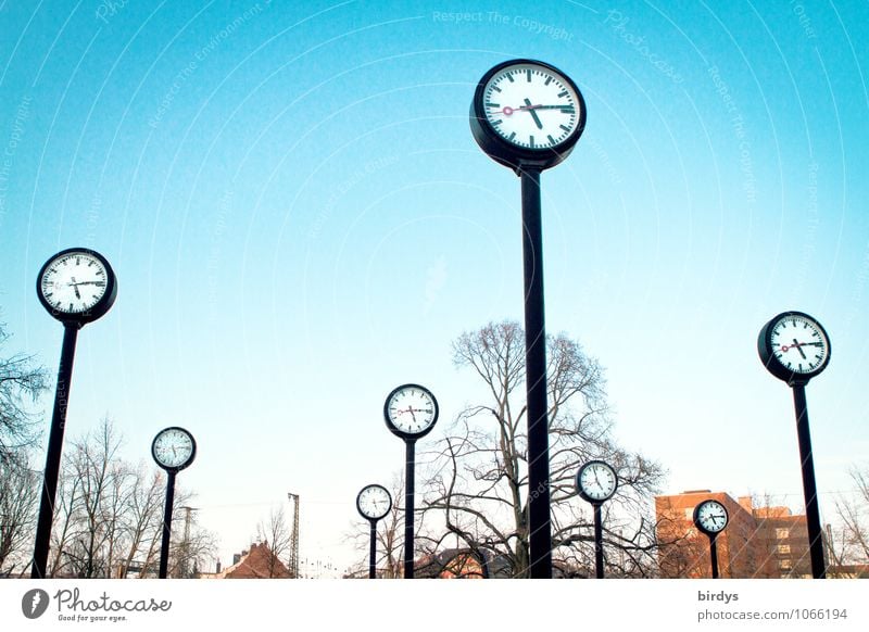 Clocks in the Uhrenpark Düsseldorf , bright blue sky Clock face Time Stress lifetime Tree Prompt time management time change Precision Park Large Round