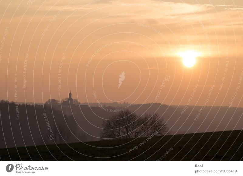 It'll be dark soon Nature Landscape Sky Sun Sunrise Sunset Spring Winter Beautiful weather Fog Field Forest Hill Paderborn district Small Town Church