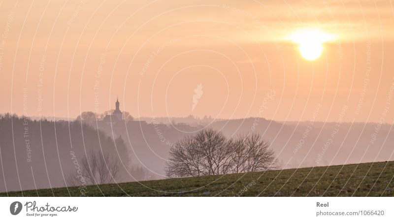 Sunset in the fog Nature Landscape Sky Sunrise Sunlight Spring Winter Beautiful weather Fog Meadow Tree Hill Bad Wünnenberg Paderborn district Germany Village