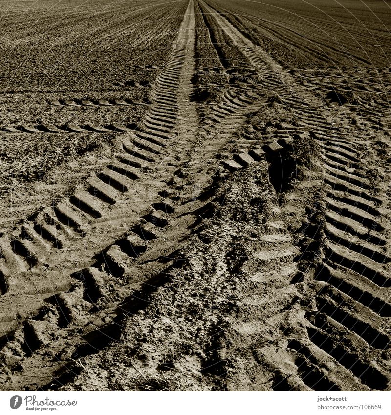 Arable Cult Agriculture Earth Field Brown Movement Force Lanes & trails Regular Arable land Tracks Harrow Tractor track Vertical Flat Far-off places