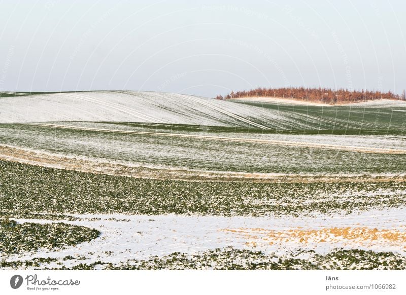 snow from yesterday Environment Nature Landscape Earth Sky Clouds Winter Ice Frost Snow Field Hill Uniqueness Climate Stagnating Change Striped Line Agriculture