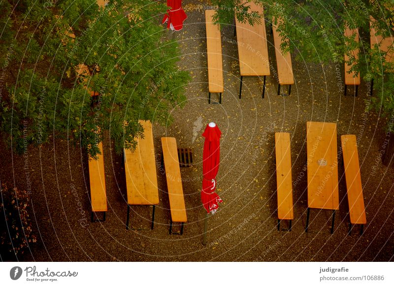 end of season Beer garden Table Sunshade Closing time End Autumn Leaf Tree Bird's-eye view Downward Empty End of the season Gastronomy Colour Bench from down