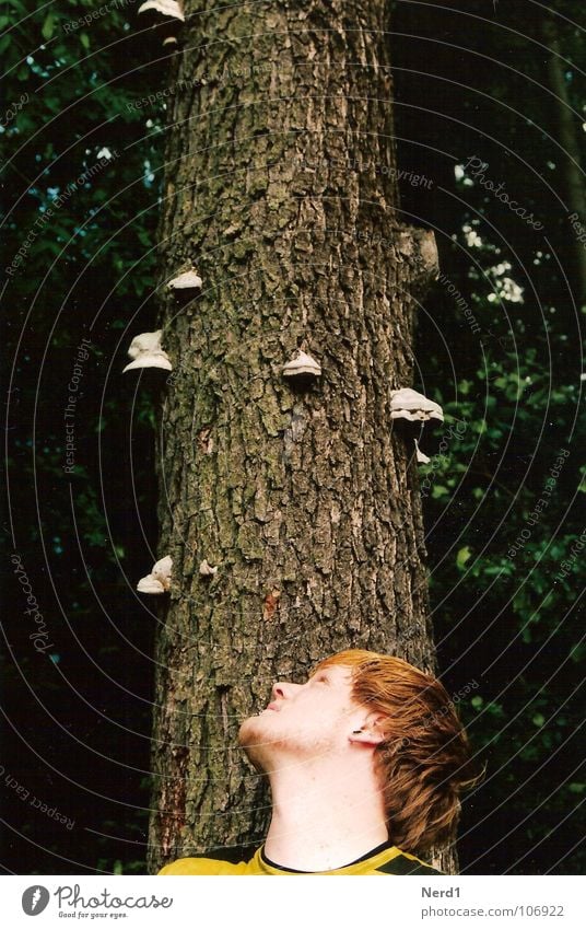 tree fungi Tree Man Curiosity Forest Tree bark Green Nature Head Mushroom Young man 18 - 30 years Looking away Observe Upward Tree fungus Tree trunk