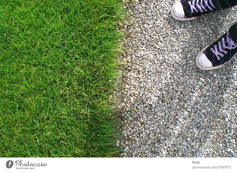 Should I go? Garden Grass Park Meadow Footwear Stone Under Divide Chucks Sidewalk Pebble Border Barrier Image format Shoelace Geometry Hannover Floor covering