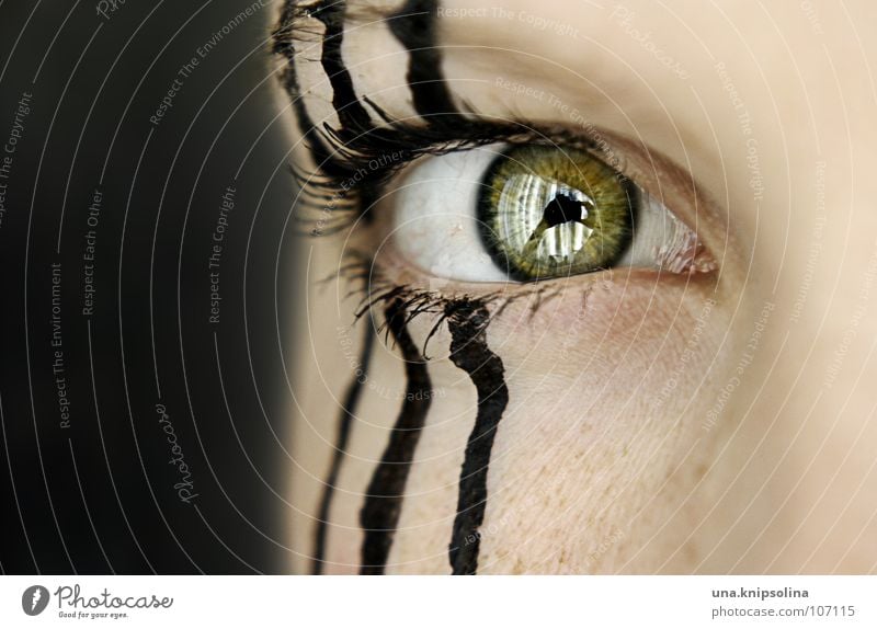 trois Stripe 3 Black Striped Zebra Green Eyelash Pupil Eyebrow Woman Line three Eyes Detail Iris Lamp eyebrow freckles