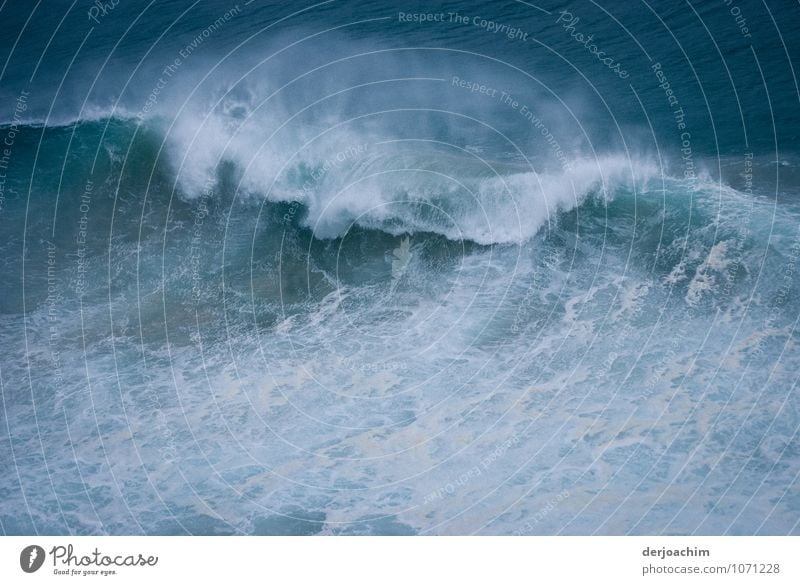 Cyclone runner, heavy swell off the coast of Queensland. The foothills of the local cyclone. Australia Joy Summer Waves Environment Water Storm Ocean