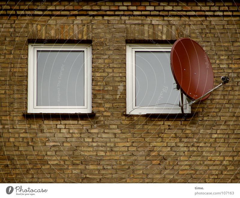 Citizens, stop staring... [II] Subdued colour Exterior shot Bowl House (Residential Structure) Moving (to change residence) Entertainment Software