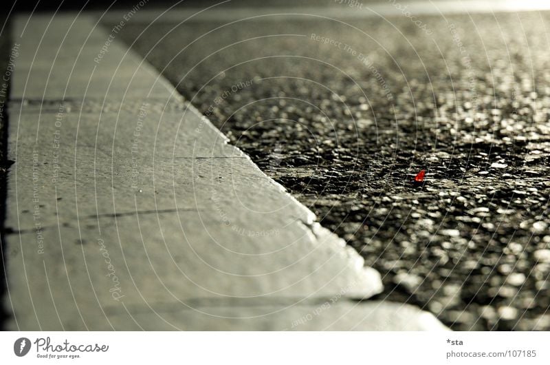 take a close look to the ground Asphalt Splinter Red Lane markings Stripe Shard Granulate Small Near Traffic infrastructure Close-up Macro (Extreme close-up)