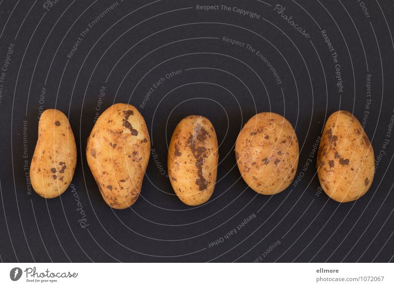 potato row Food Vegetable Potatoes Nutrition Agricultural crop Dirty Fresh Natural Brown Yellow Gray Black Calm Orderliness Contentment Arrangement 5 Row Earthy